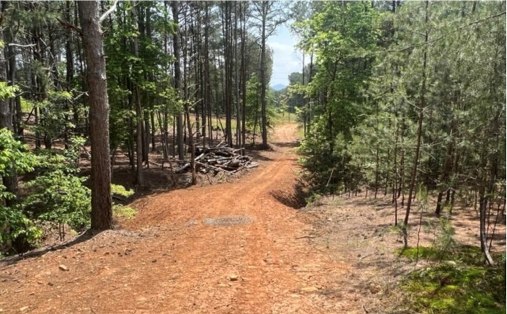 LT 35 Highland Woods