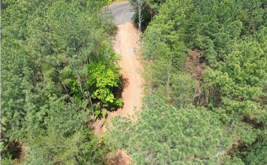 LT 35 Highland Woods