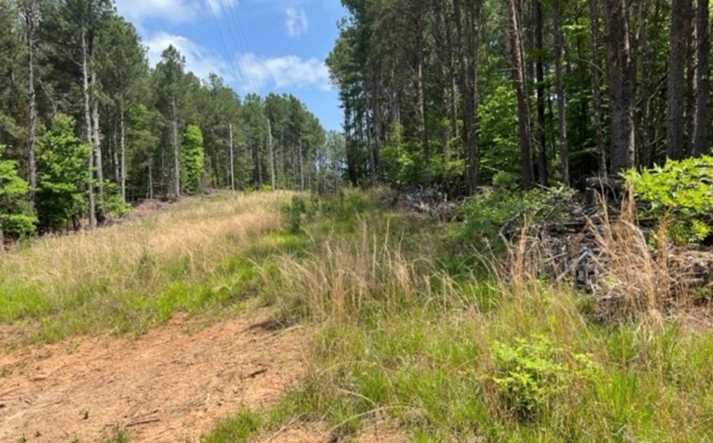 LT 35 Highland Woods