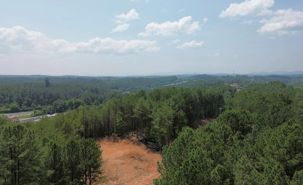 LT 35 Highland Woods