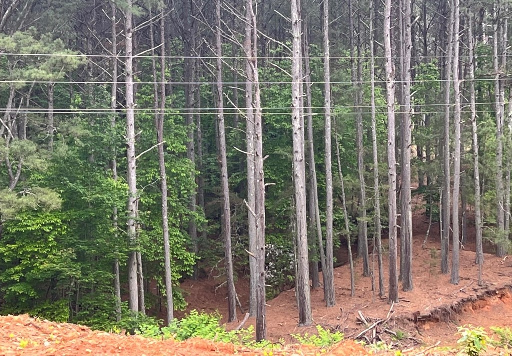 LT 35 Highland Woods