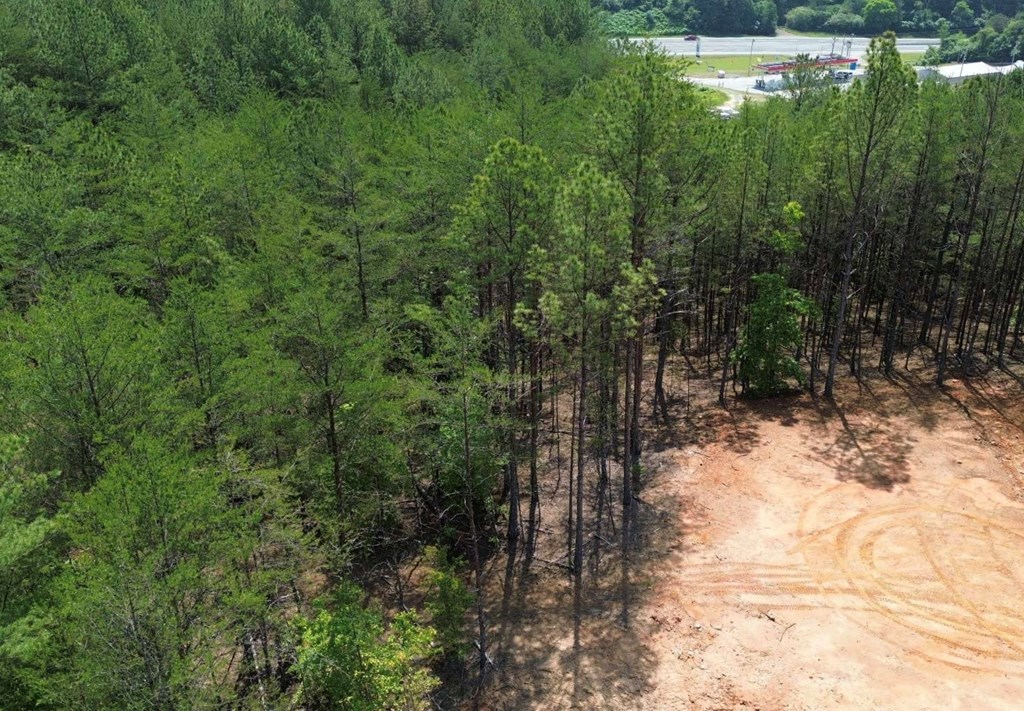 LT 35 Highland Woods