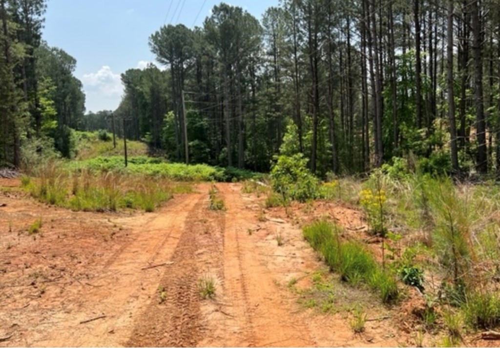 LT 35 Highland Woods