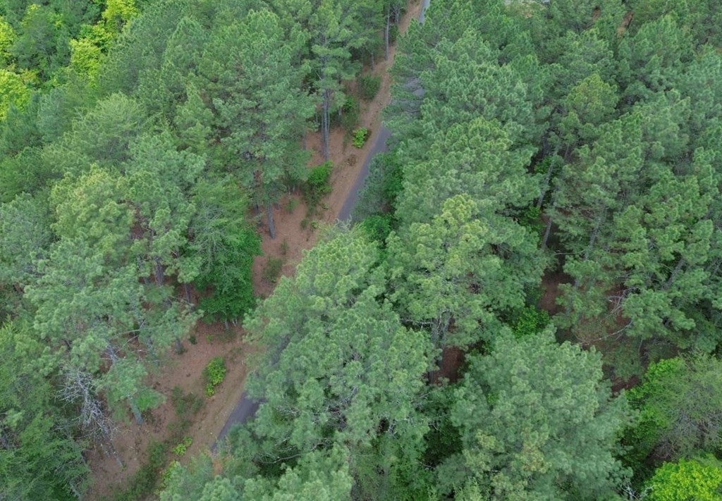 LT 35 Highland Woods