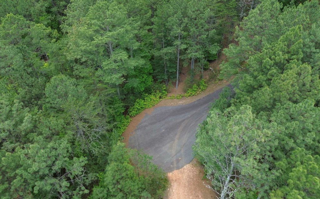 LT 35 Highland Woods