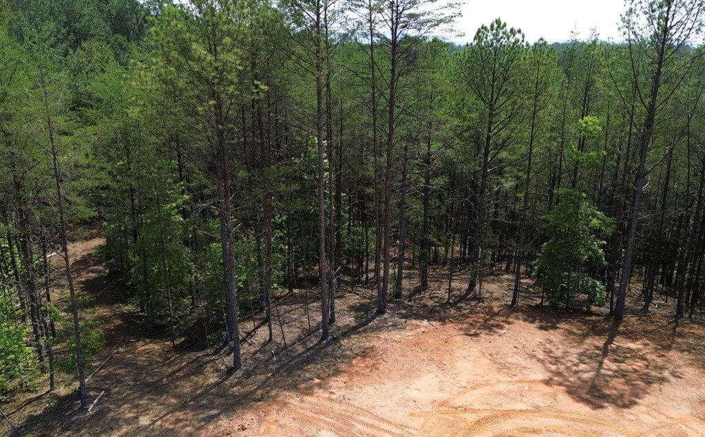 LT 35 Highland Woods