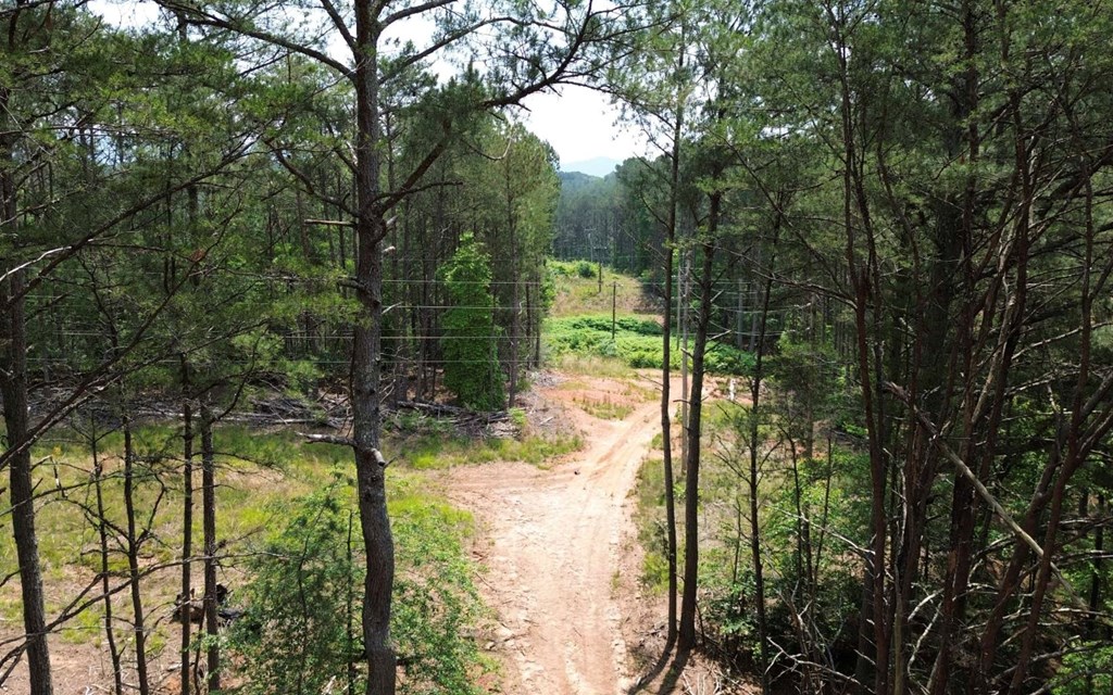 LT 35 Highland Woods