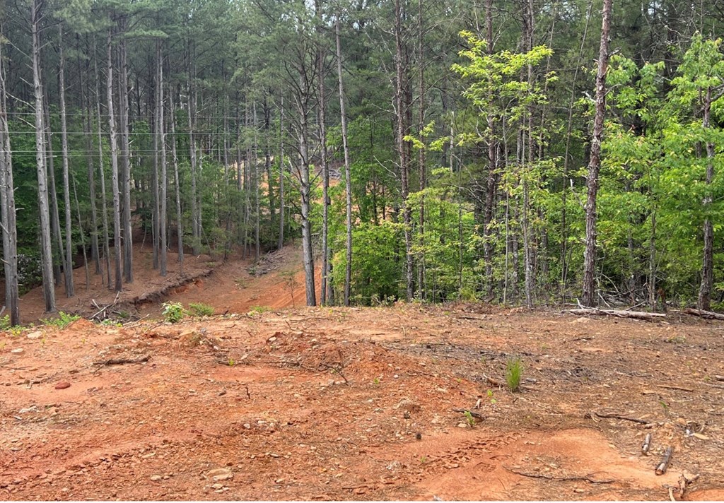 LT 35 Highland Woods