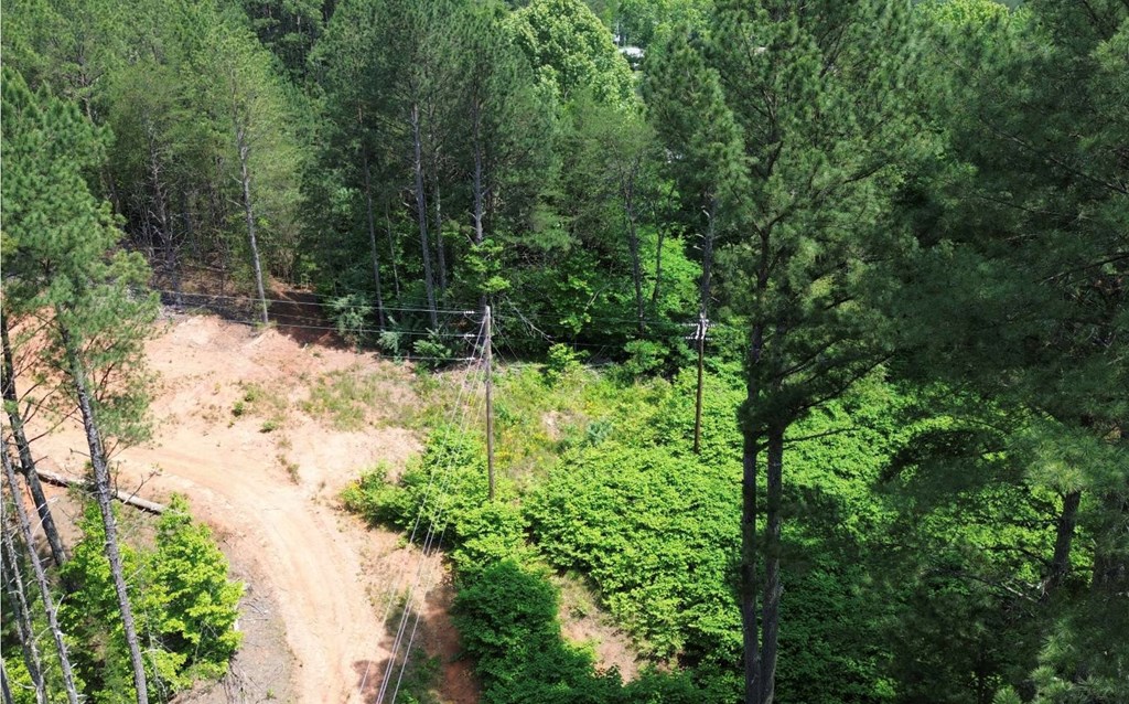 LT 35 Highland Woods