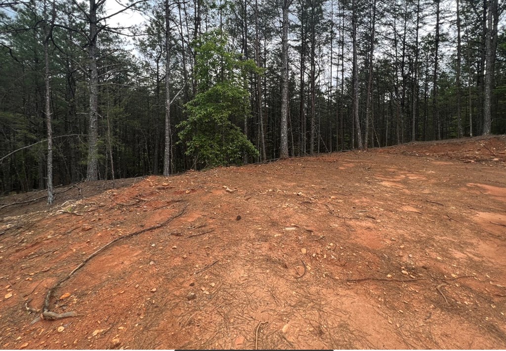 LT 35 Highland Woods