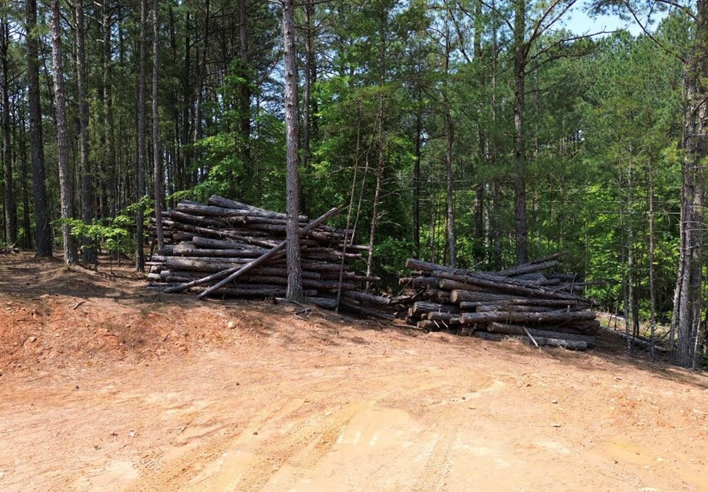 LT 35 Highland Woods