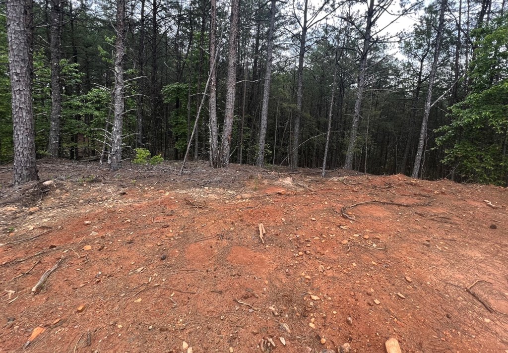 LT 35 Highland Woods