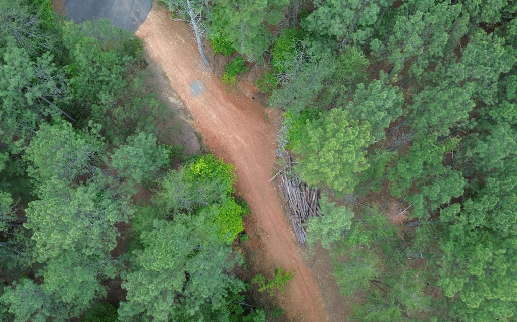 LT 35 Highland Woods