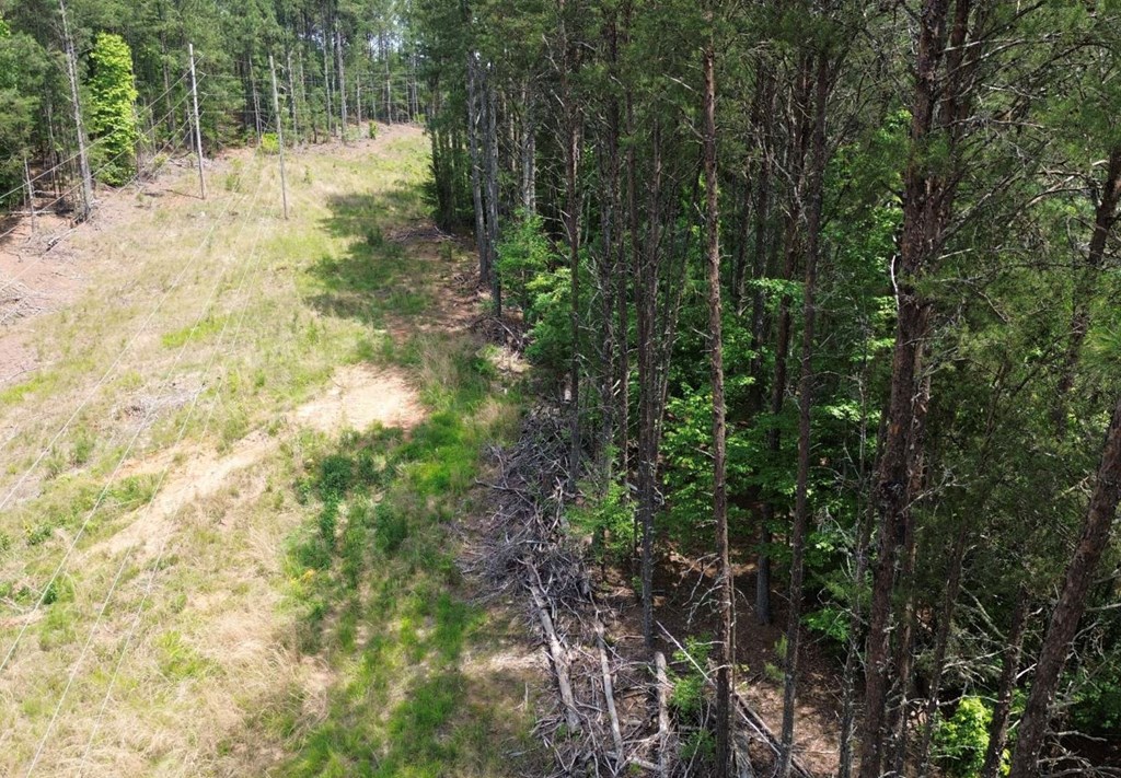 LT 35 Highland Woods