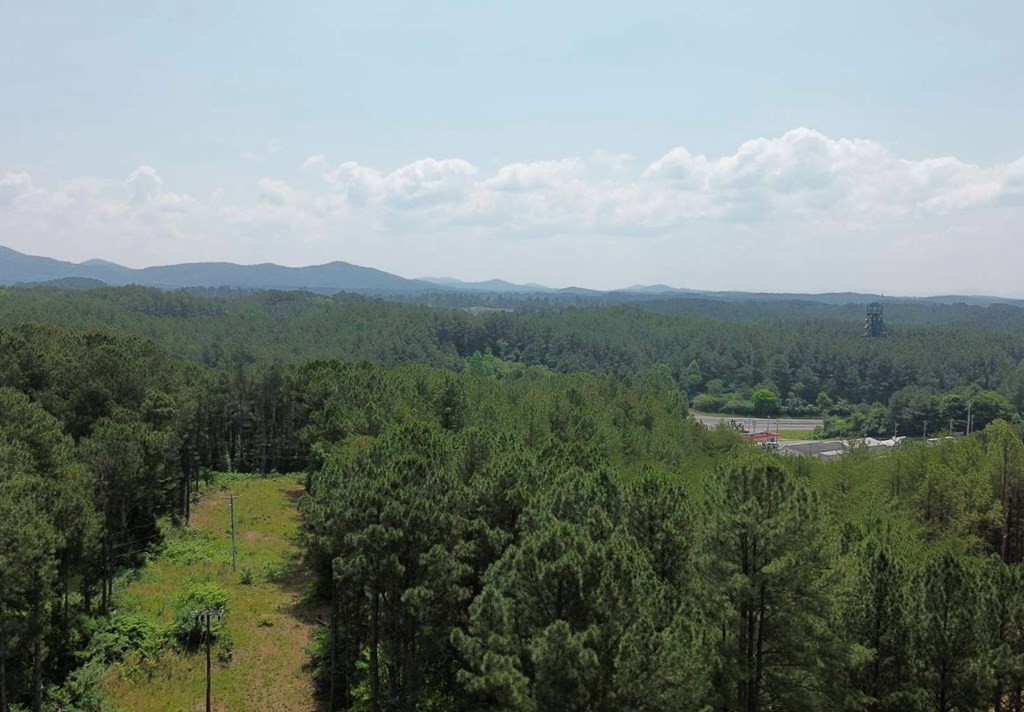 LT 35 Highland Woods