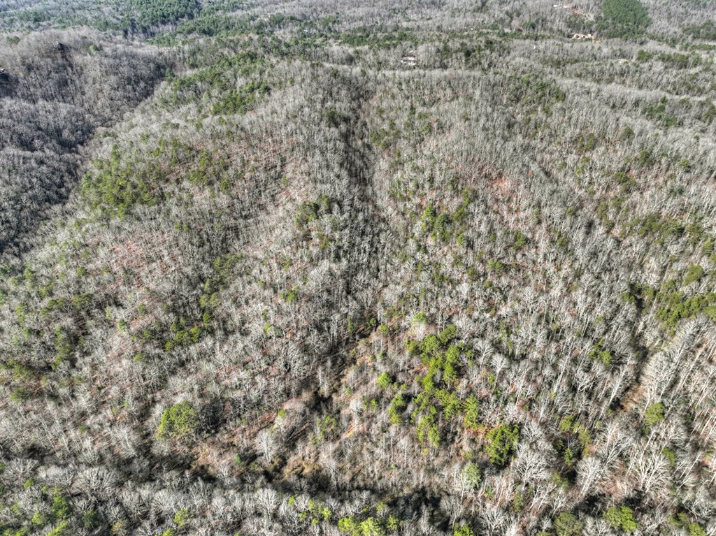 0 Arp Road