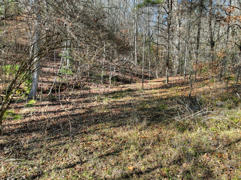 0 Arp Road