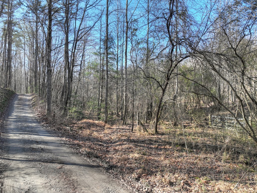 0 Arp Road