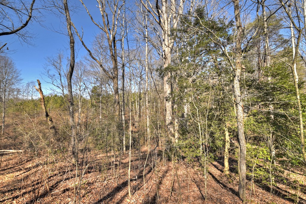 3.12 acs Blue Ridge Drive