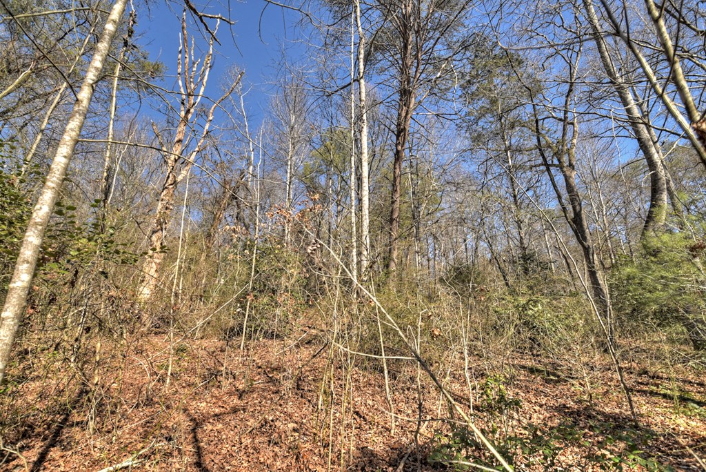 3.12 acs Blue Ridge Drive