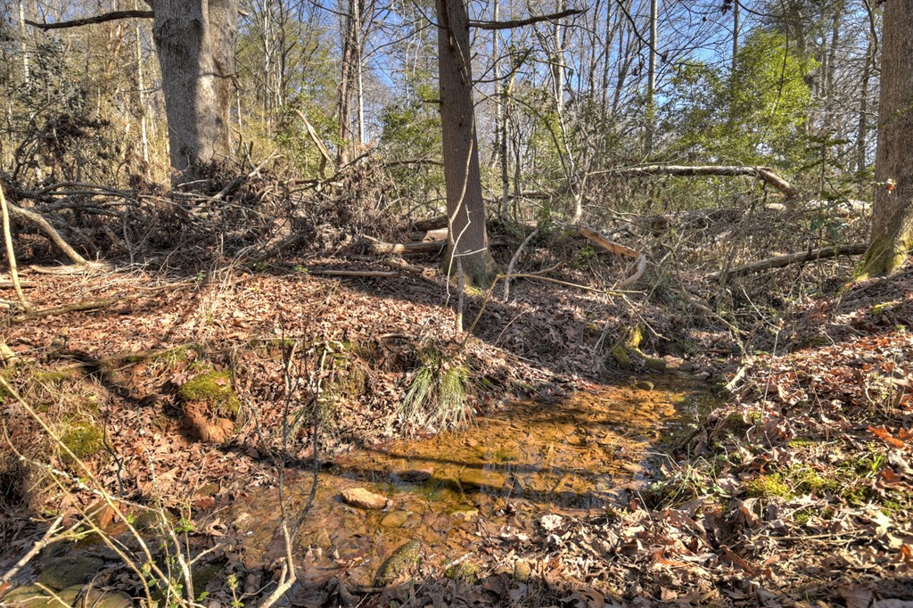 3.12 acs Blue Ridge Drive