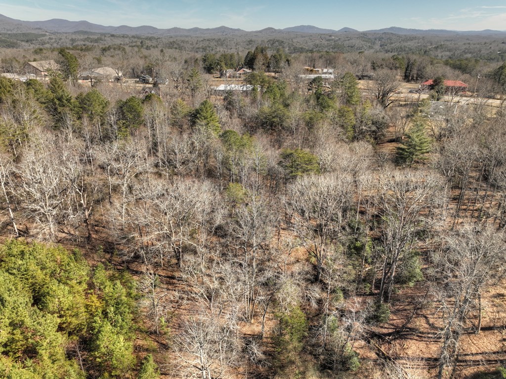 3.12 acs Blue Ridge Drive