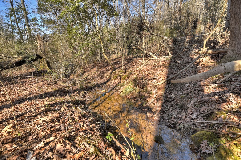 3.12 acs Blue Ridge Drive