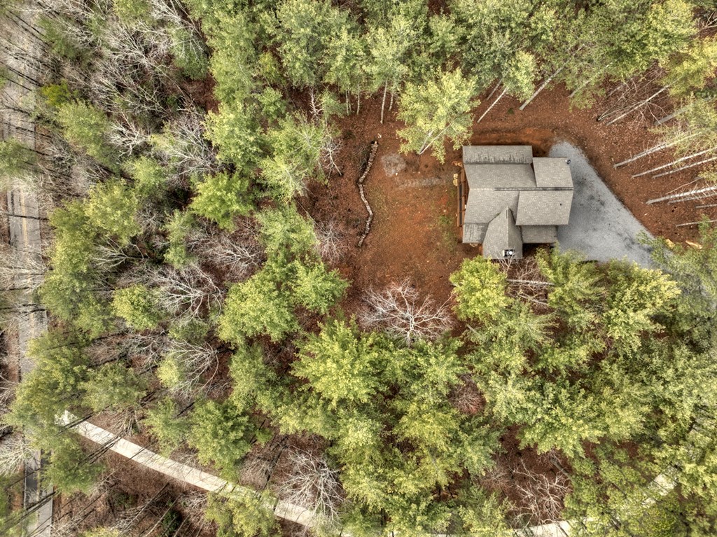 705 George Curtis Road