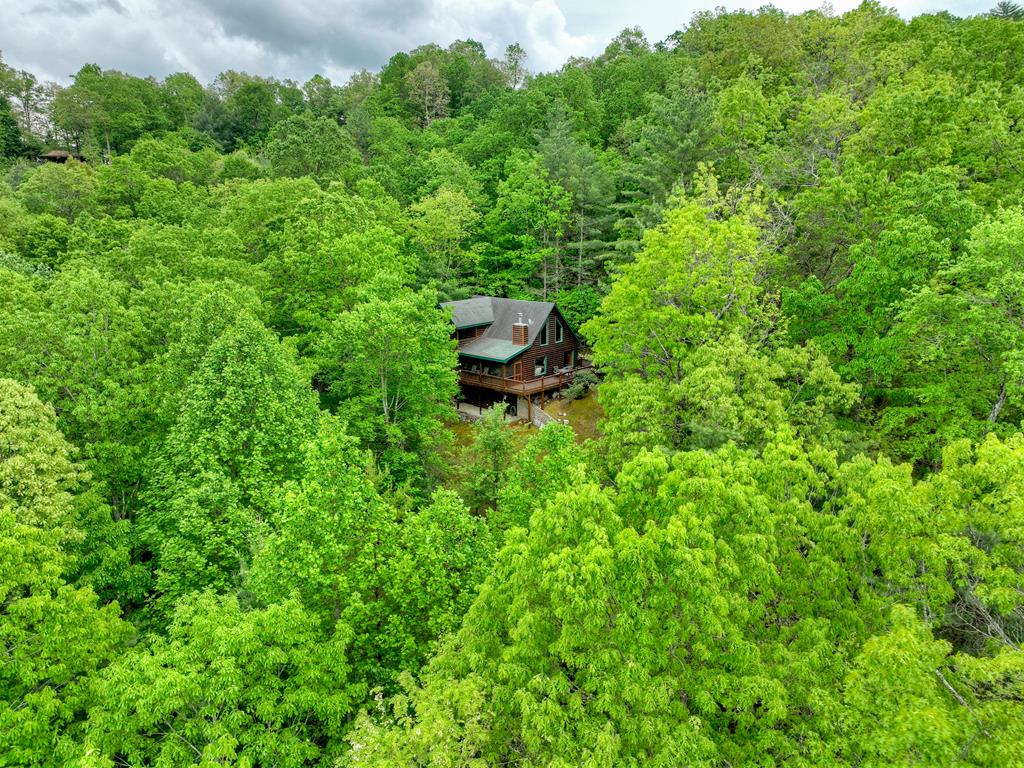 162 Toccoa Overlook Lane