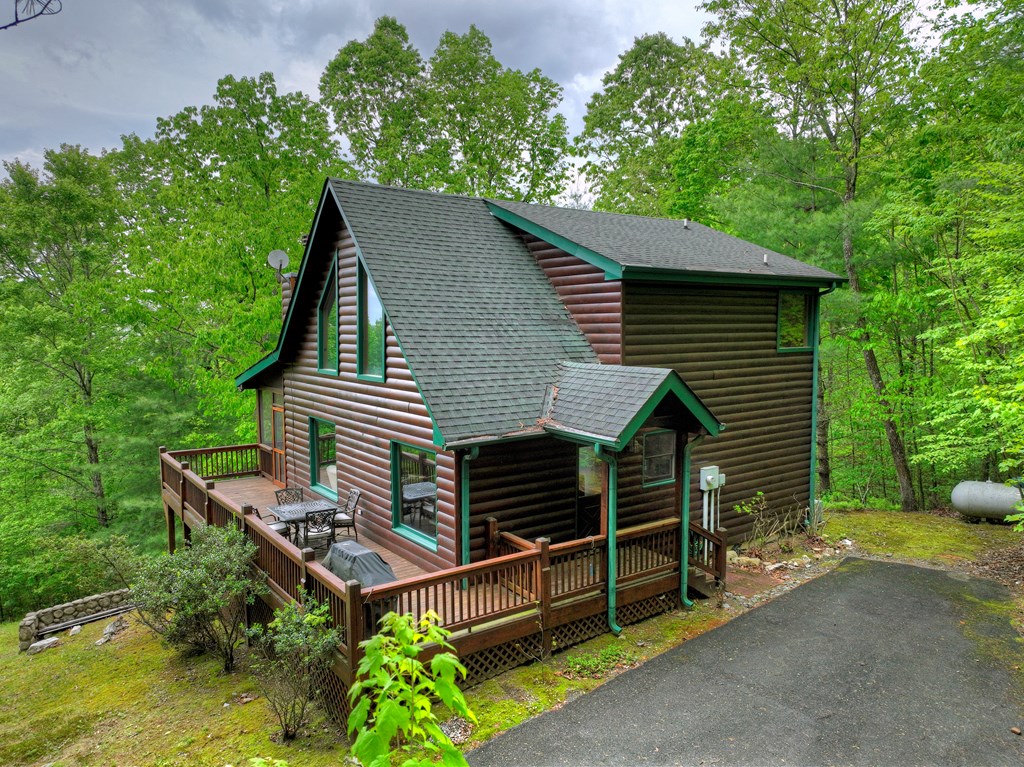 162 Toccoa Overlook Lane