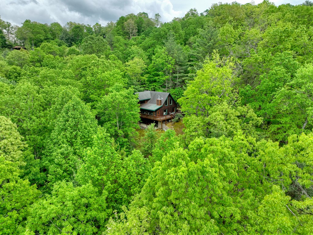 162 Toccoa Overlook Lane