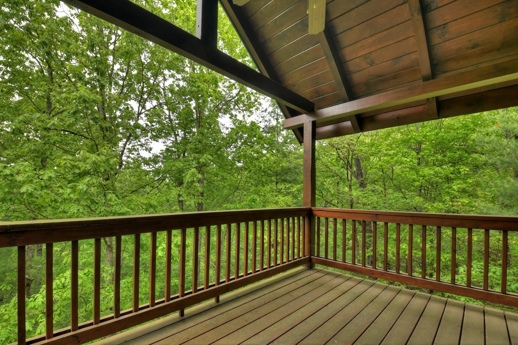 162 Toccoa Overlook Lane