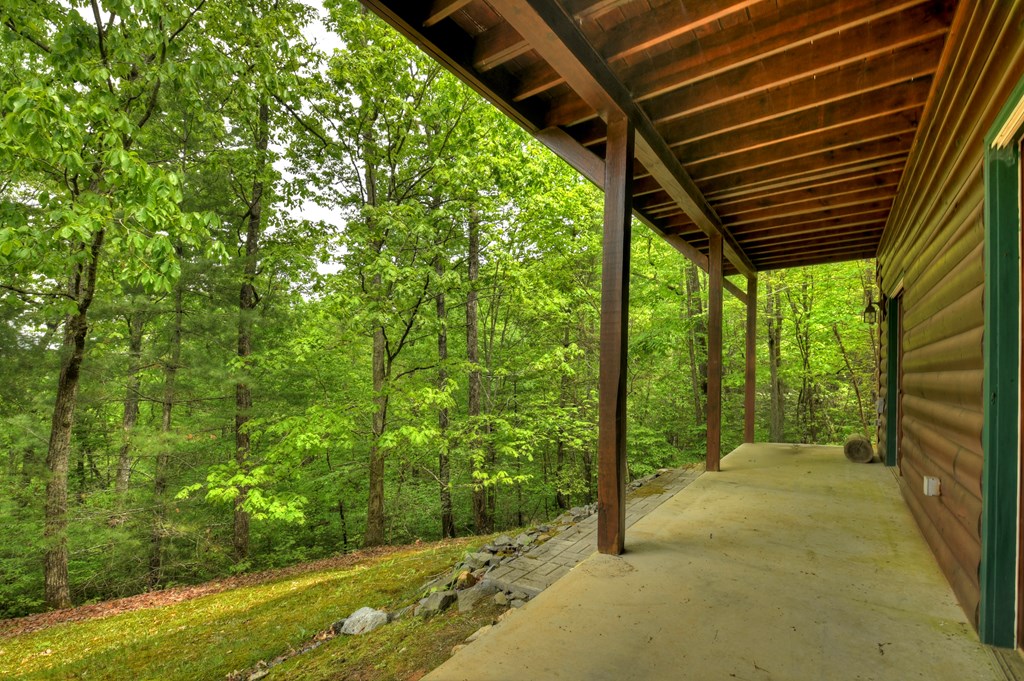 162 Toccoa Overlook Lane