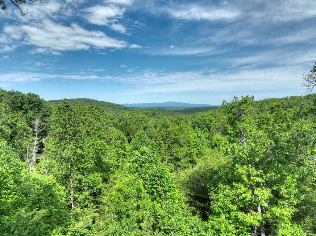 54 Channing Hollow