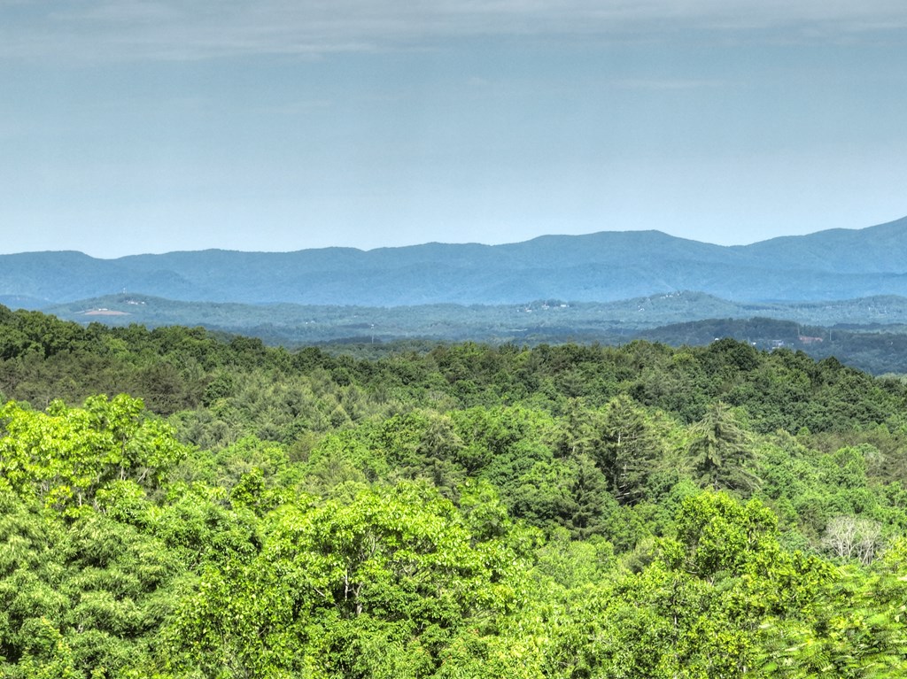 54 Channing Hollow