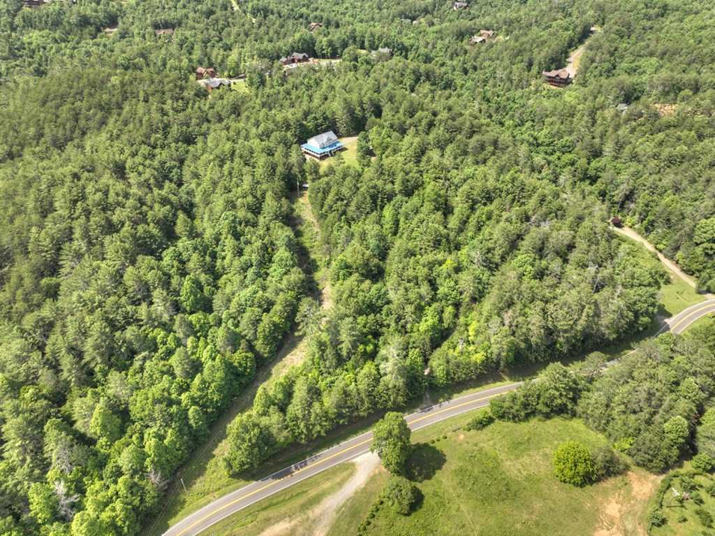 3731 Cutcane Road
