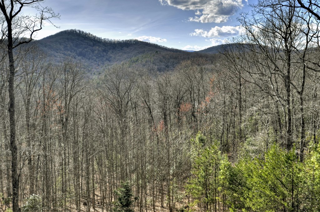 265 Covered Bridge Lane