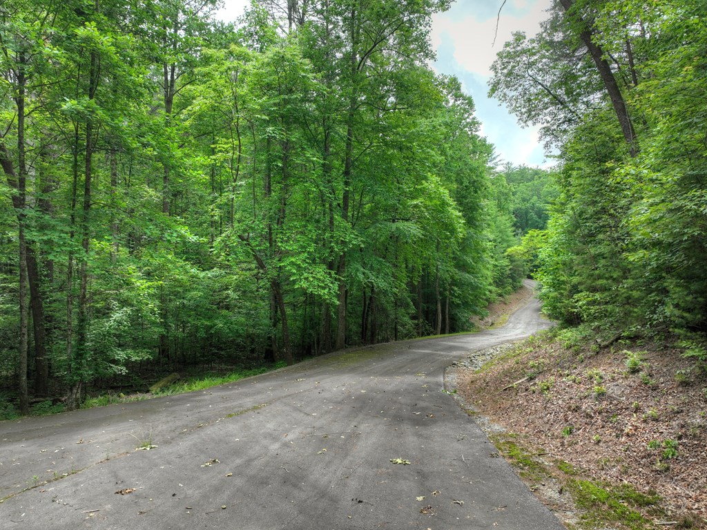 L 5,6& 7 Mountain Springs Road