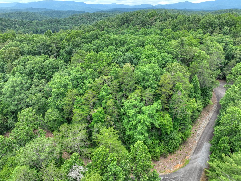 L 5,6& 7 Mountain Springs Road