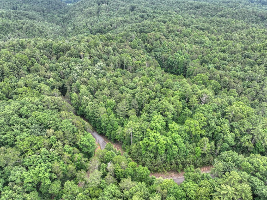 L 5,6& 7 Mountain Springs Road