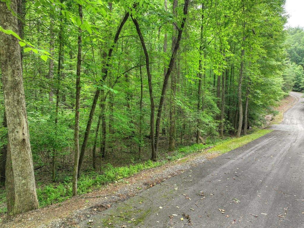 L 5,6& 7 Mountain Springs Road