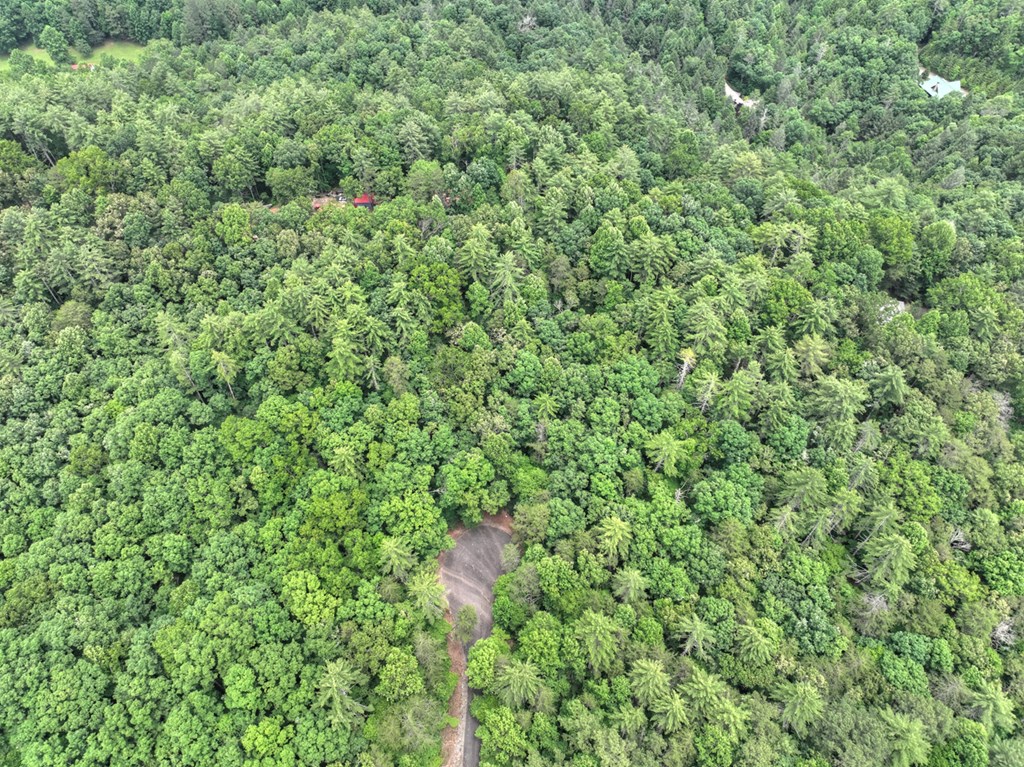 L 5,6& 7 Mountain Springs Road