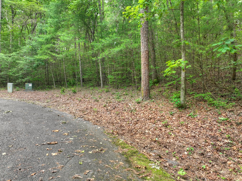 L 5,6& 7 Mountain Springs Road