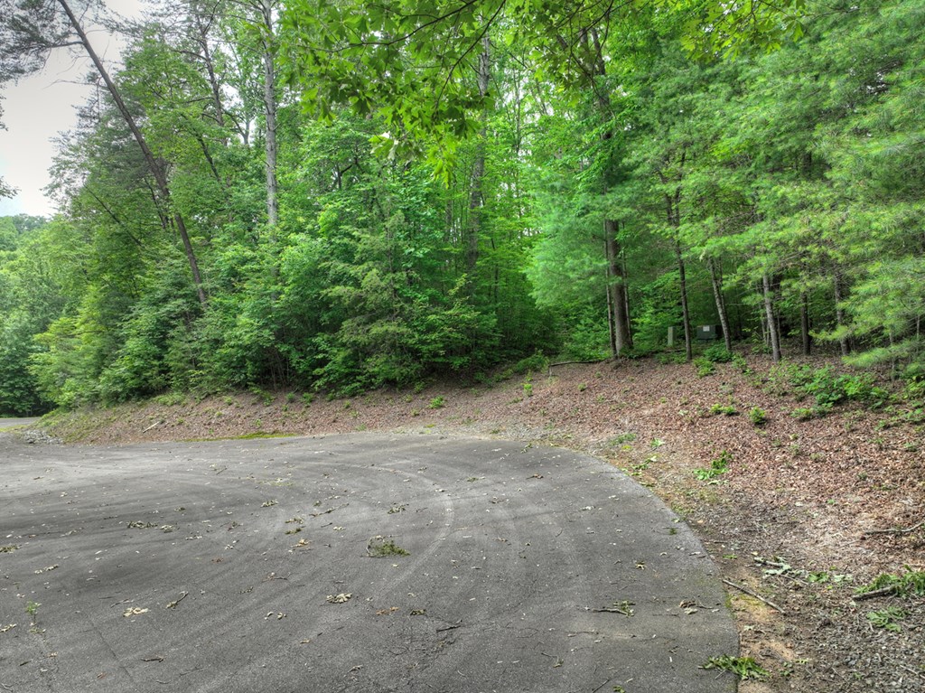 L 5,6& 7 Mountain Springs Road