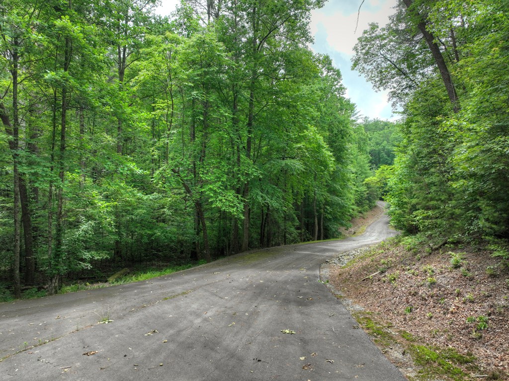 L 5,6& 7 Mountain Springs Road