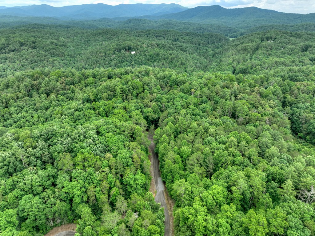 L 5,6& 7 Mountain Springs Road