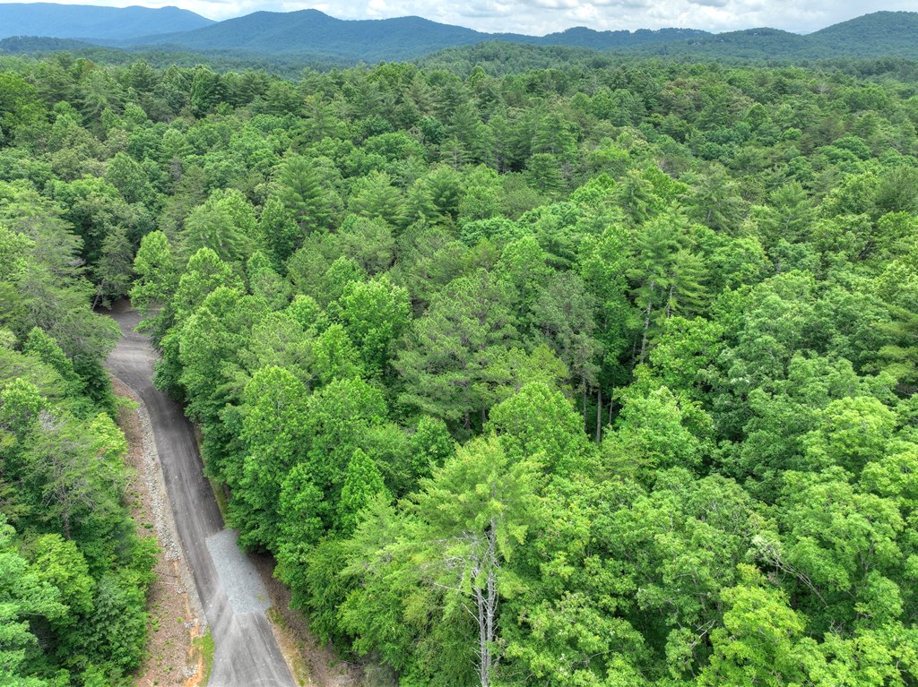 L 5,6& 7 Mountain Springs Road