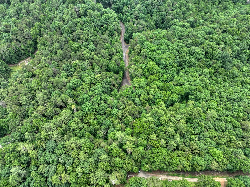 L 5,6& 7 Mountain Springs Road