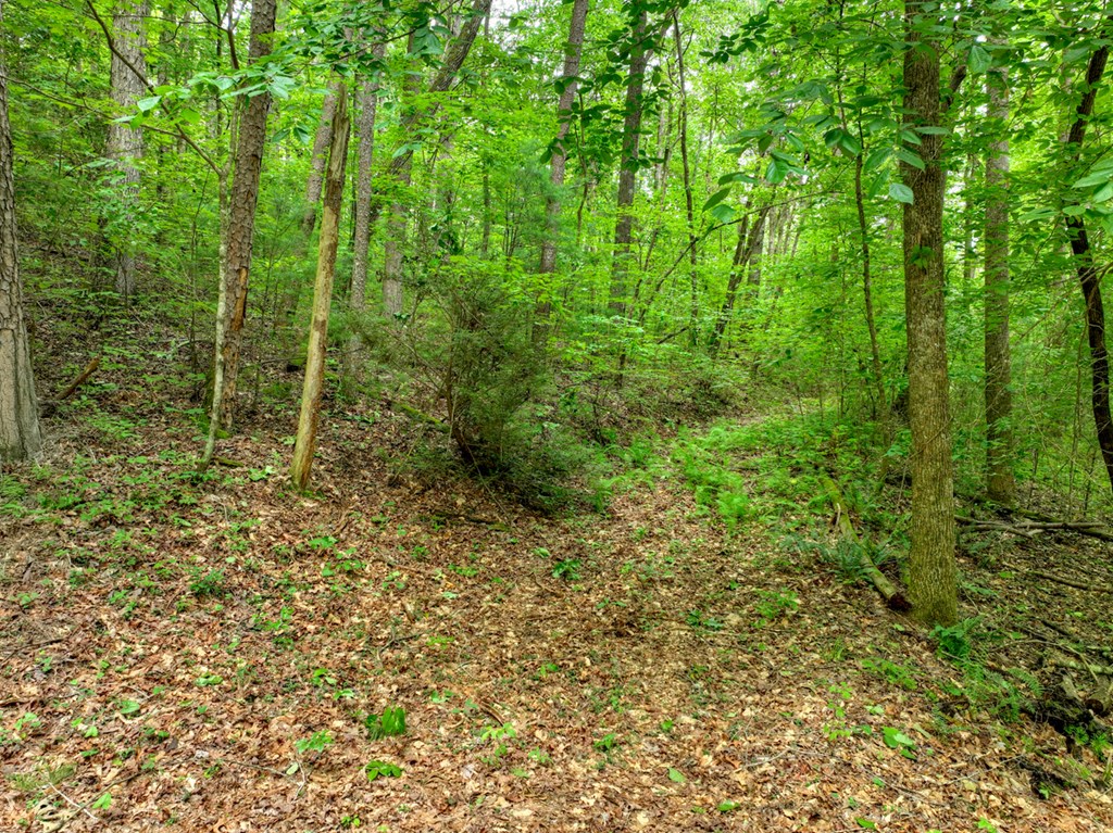 L 5,6& 7 Mountain Springs Road