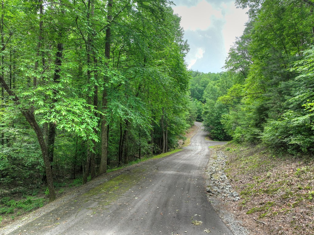 L 5,6& 7 Mountain Springs Road